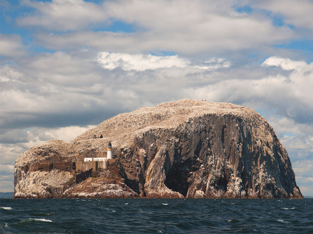 Bass Rock from the boat 