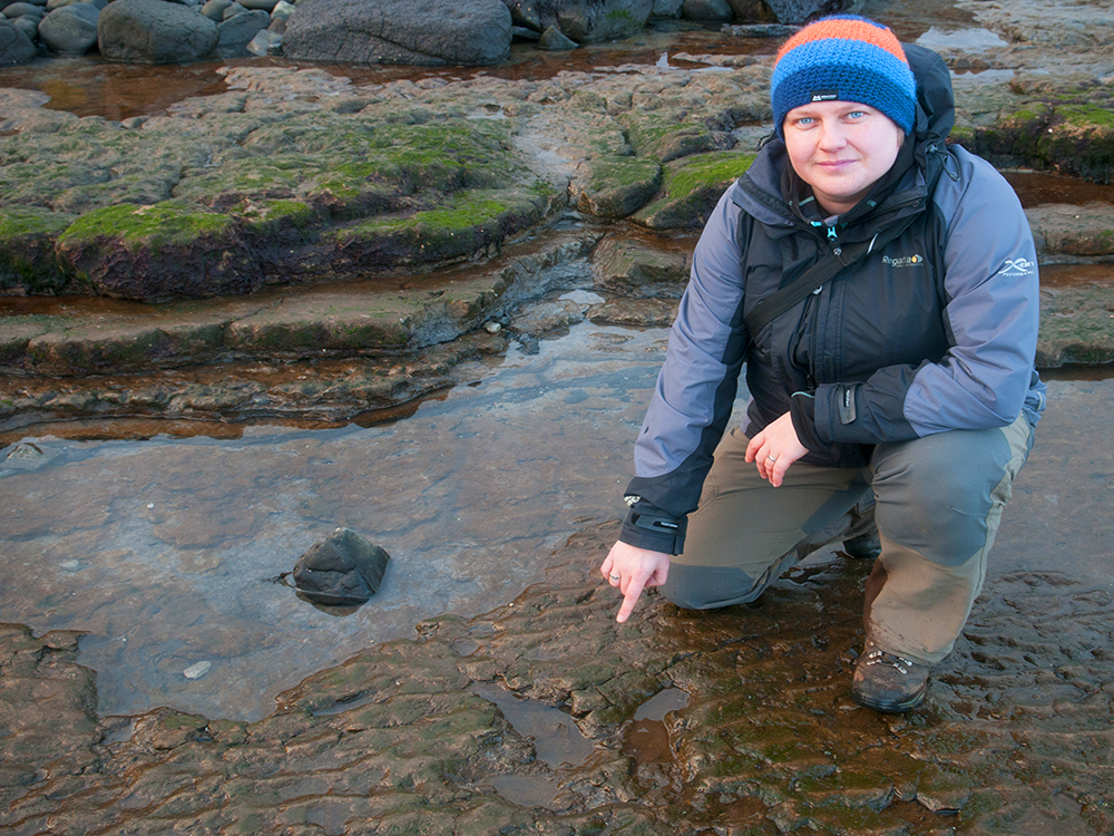 Staffin Beach ślad dinozaura